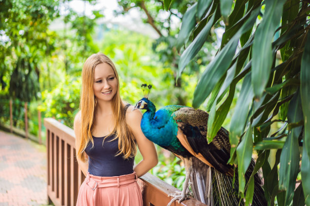 年轻女子在公园里看一只孔雀图片下载