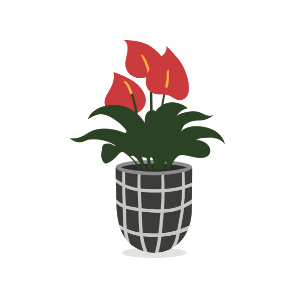 向量壶与房子花孤立在白色背景图片下载