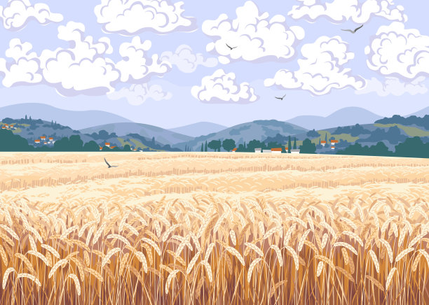 自然风光与成熟的麦田图片下载