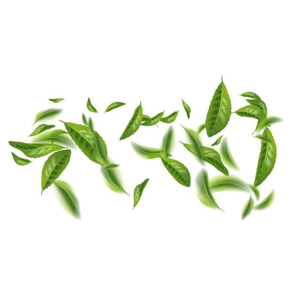 美丽的绿叶飞天图片下载