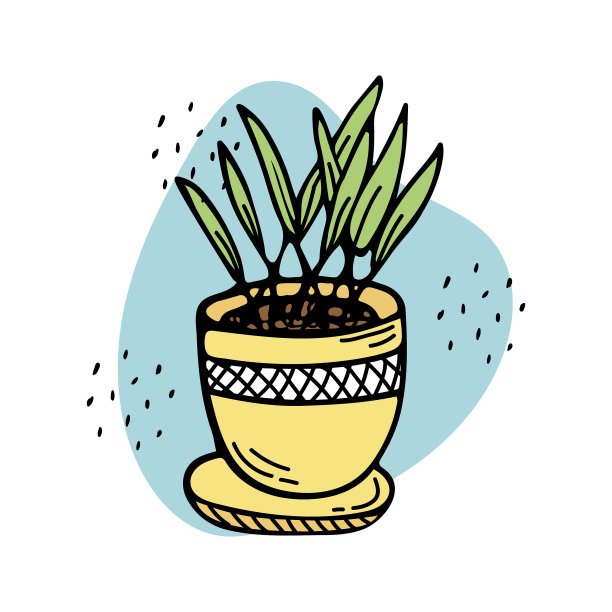 涂鸦一盆植物作为室内装饰图片下载