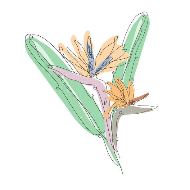 装饰手绘苍劲花设计图片下载