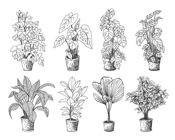 树素描手绘建筑师图片下载