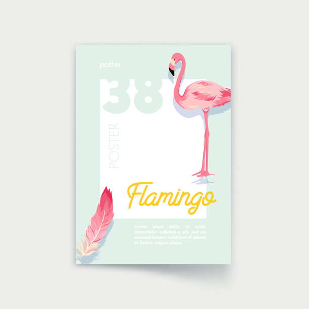 海报与粉红色火烈鸟和羽毛模板图片下载