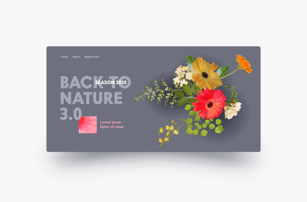 着陆页设计与秋天非洲菊花图片下载