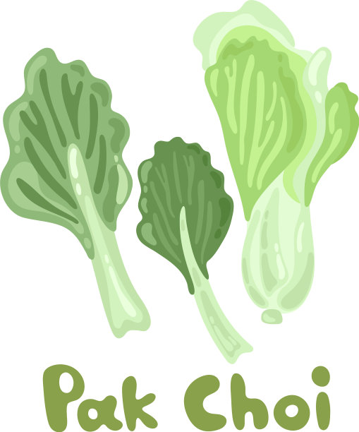 小白菜stock choi image stem bok chay Chinese图片下载