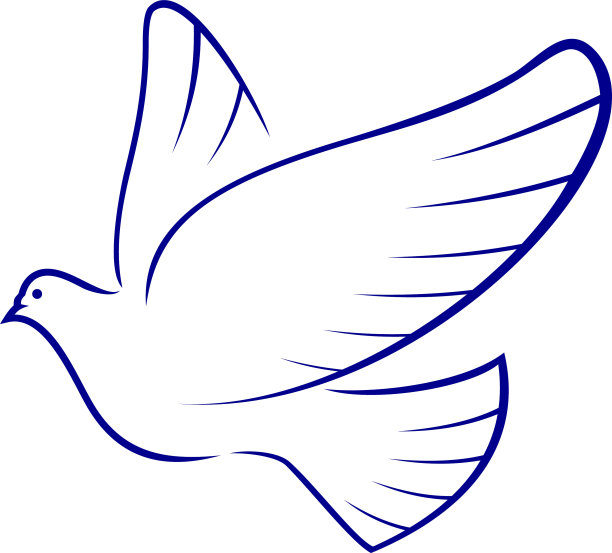 鸽子隔离圣鸽图片下载