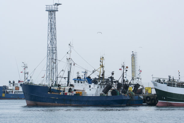 港口的渔船图片下载