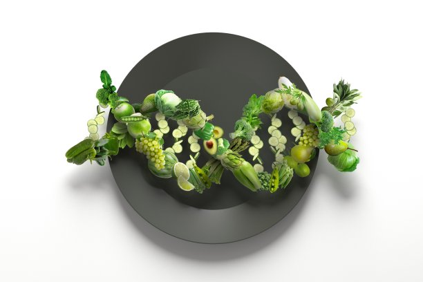 由新鲜水果和蔬菜制成的DNA链，为健康生活提供随时食用的营养基因学食品概念图片下载