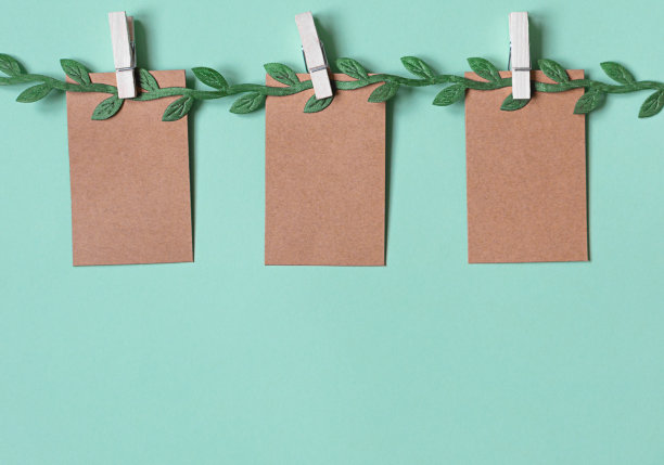 绿色的树枝上挂着三张空白的价格标签图片下载