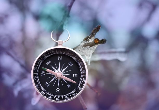 自然背景下的经典指南针图片下载