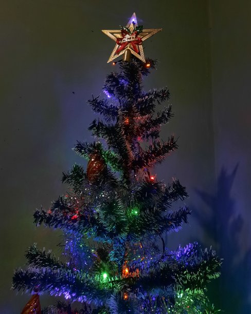 圣诞树图片下载