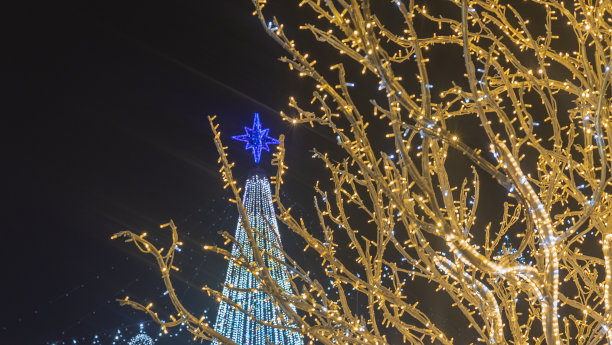 抽象的圣诞树和节日街道上的花环灯照明不集中。假期的概念。晚上的照片。图片下载