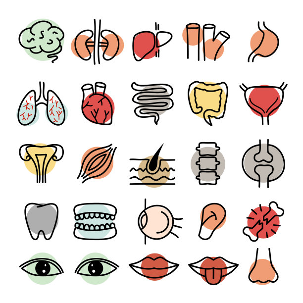 手绘内脏图片下载