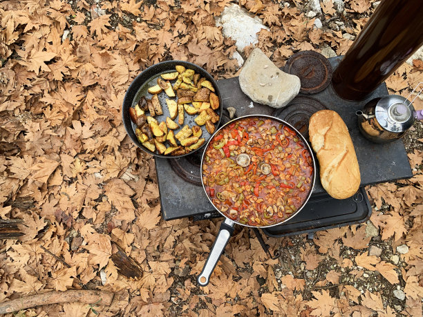 在森林里用烧木头的炉子煮土豆炸虾图片下载