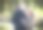 公园里男人和女人的肖像图片下载