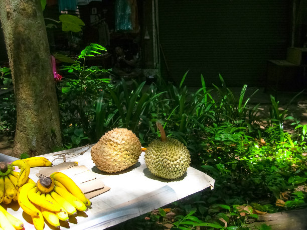 在花园里的树影下，桌上放着成熟的榴莲。图片下载