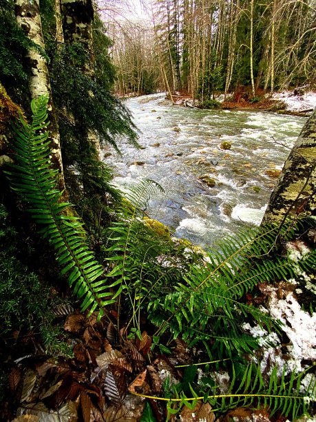 冬天的贝克尔河图片下载