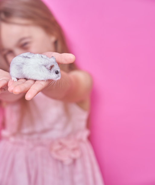 一个女孩抱着一只粉红色背景的仓鼠图片下载