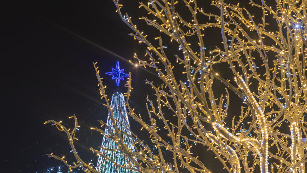 抽象的圣诞树和节日街道上的花环灯照明不集中。假期的概念。晚上的照片。图片下载