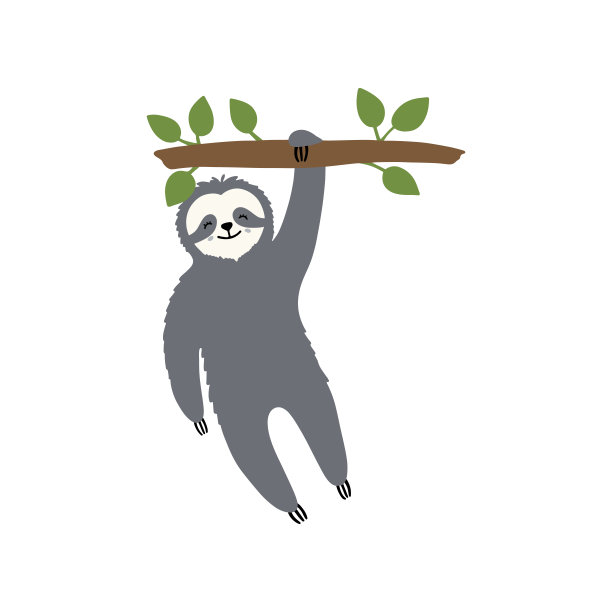 可爱的树懒挂在树枝上。平面手绘插图。卡通动物角色。图片下载