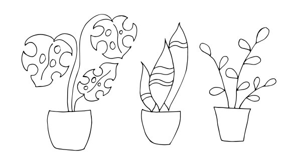室内盆花。线性图。矢量插图。图片下载