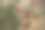 年轻温柔的红头发年轻女孩的肖像与健康的雀斑皮肤穿着黑色的顶摆出严肃或沉思的表情。白种人女性模特与姜头发摆姿势户外。图片下载