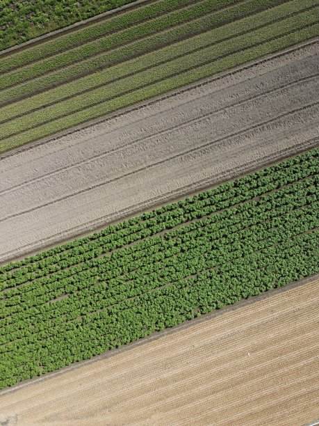 农田鸟瞰图图片下载