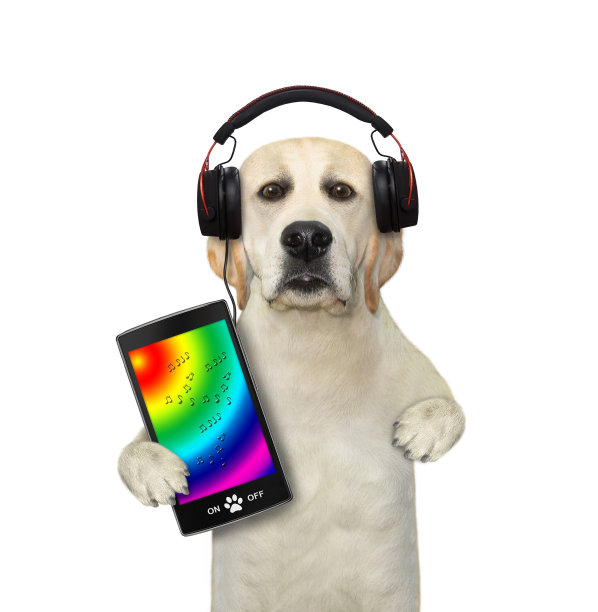 戴着耳机的狗狗和智能手机图片下载