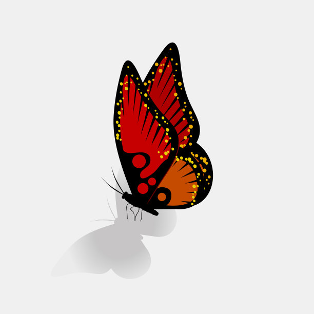 白色背景上的红色蝴蝶和阴影图片下载