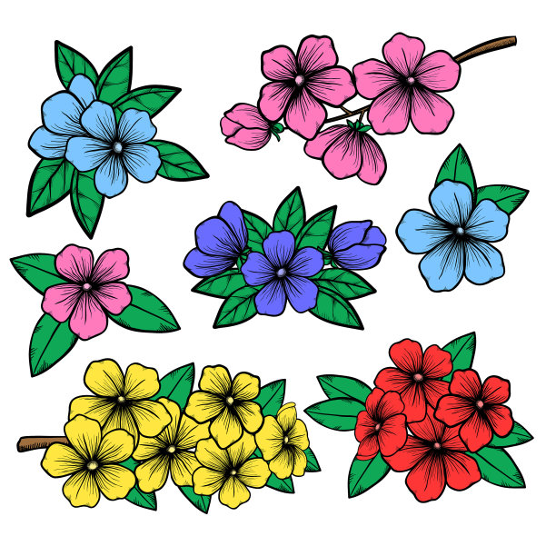 美丽的花集五彩缤纷的花集图片下载