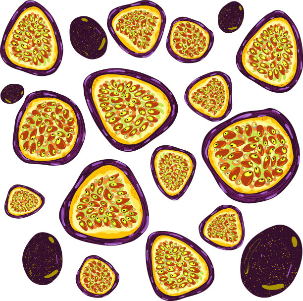 手绘的紫色百香果图片下载