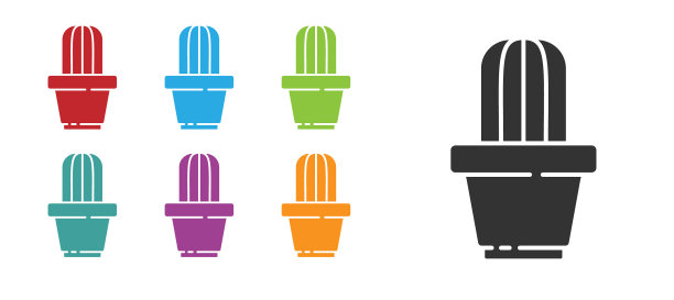 黑色仙人掌和肉质在花盆图标孤立上图片下载