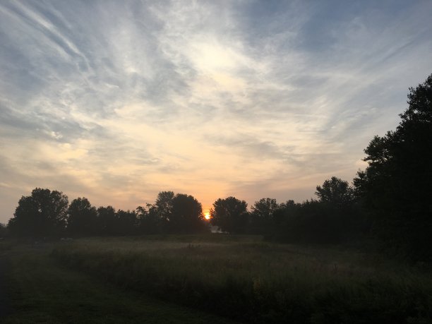金色的太阳在挑选图片下载