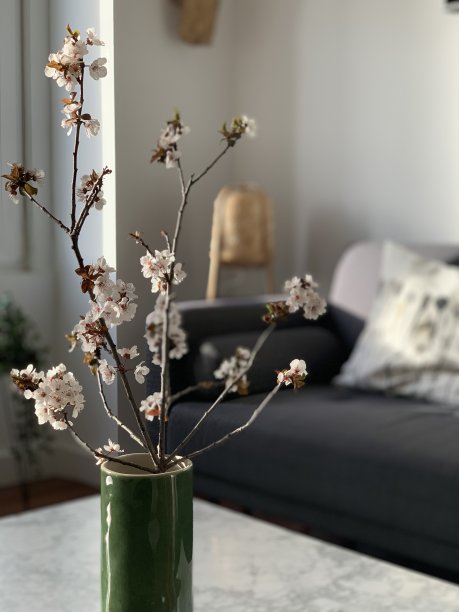 在一间公寓里，一束樱花枝插在一个绿色陶瓷花瓶里图片下载
