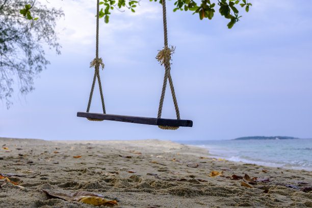 在沙滩上的树下荡秋千。图片下载