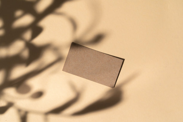 空白的白色名片上的米色背景与创造性的花卉阴影图片下载