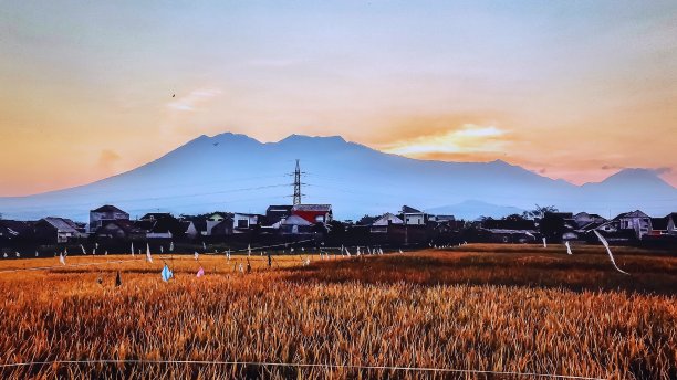 在赛场上欣赏日落图片下载