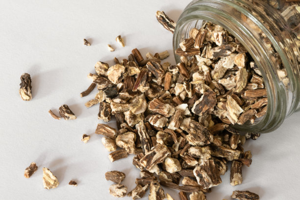 蒲公英的根从一个罐子里溢出来图片下载