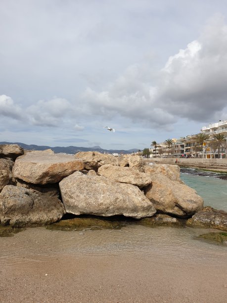 海岩和海鸥图片下载