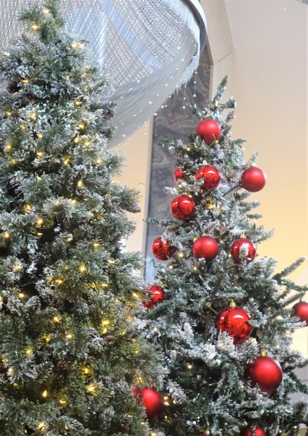 圣诞树和圣诞装饰品图片下载