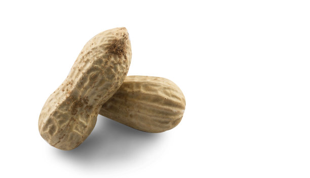 花生孤立在白色背景上。图片下载
