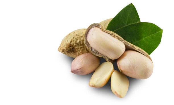 花生孤立在白色背景上。图片下载