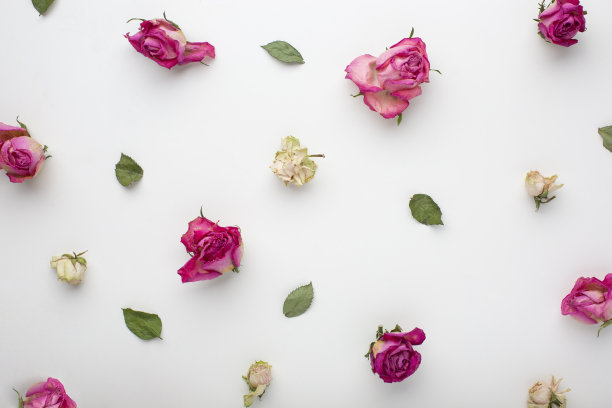 玫瑰图案图片下载