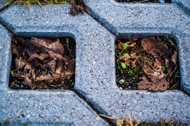 俯视图拍摄的花格瓷砖的花园路径图片下载