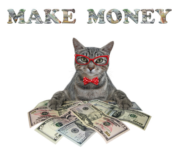 猫灰色附近的一堆美元图片下载