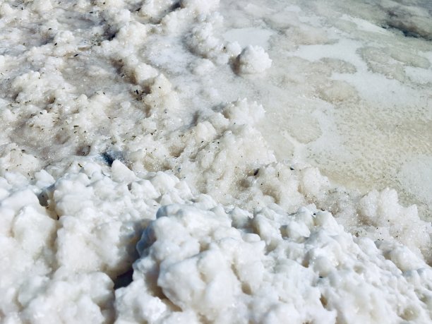 矿质盐沉积量大，质地粗糙图片下载