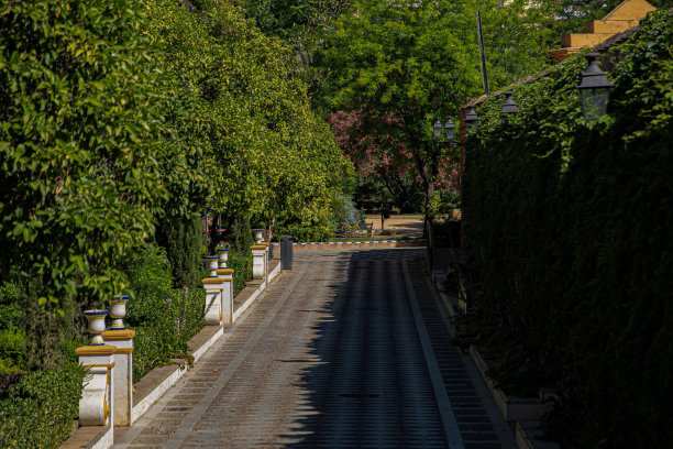 穆里略花园图片下载