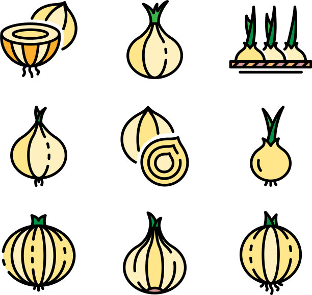 洋葱图标平放图片下载