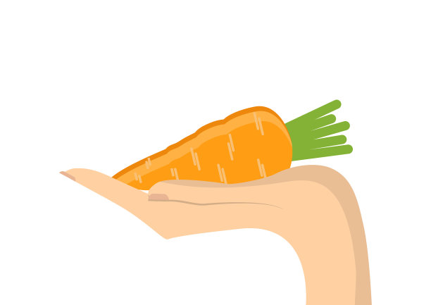 健康饮食理念手握有机图片下载